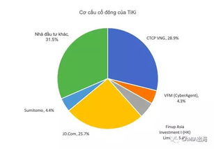 企业出海 - 尽管获得VNG和京 东大 量投资 TiKi仍亏损严重