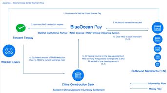 企业出海 -  跨境 移动 支付 聚合平台BlueOceanPay获数百万美元融