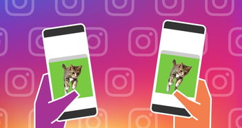 企业出海 - Instagram或推出“共同观看” 功能 ：加强 社交 体验