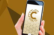 企业出海 - 兼具加密货币 转账 功能，聊天 应用 Consentium获融资