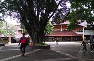 企业出海 - 与 华为 合作，首家 本地 共享单车公司在印尼大学