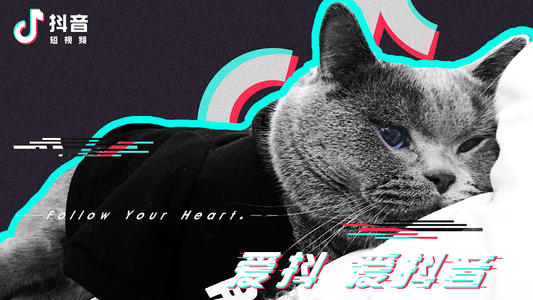 产品推广 - 为什么 抖音账号 会被评级？ 抖音 评级 怎么 申诉？