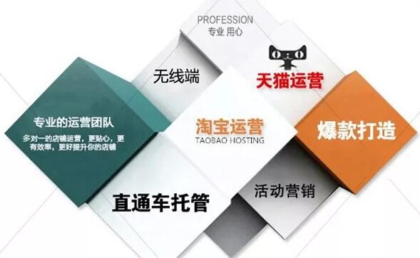 产品推广 -  网店代运营 和自 运营 哪个好？ 网店代运营 和卖家