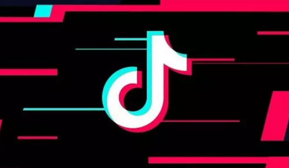 产品推广 -  抖音宠物 类视频 运营 方法， 宠物抖音账号运营 