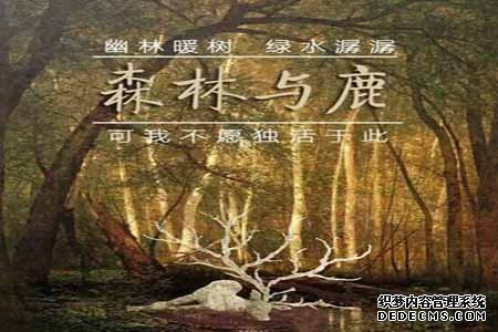 标语设计