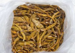 经典广告语 -  老挝 特产（灵芝、石斛、燕窝）品牌广告语-经典