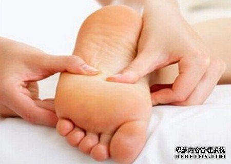 中医全息经络养生会所
